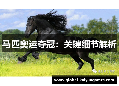 马匹奥运夺冠：关键细节解析